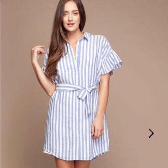 LAST ONE Naked Zebra Celsius Blue Striped Dress - Picture 1 of 5